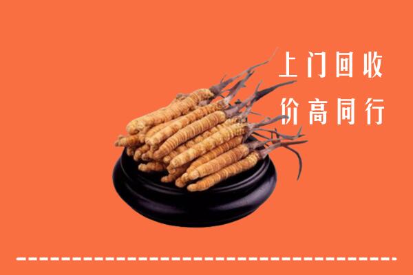 重庆回收散虫草