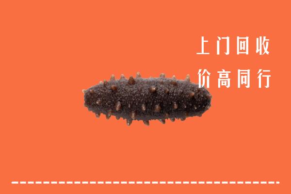重庆高价回收海参